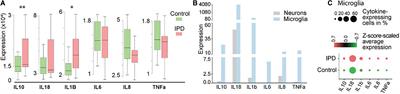 iPSC-Derived Microglia as a Model to Study Inflammation in Idiopathic Parkinson’s Disease